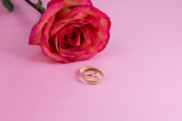 Rose with wedding rings