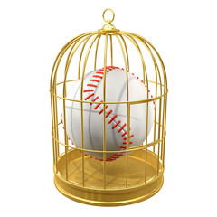 Birdcage with baseball locked inside