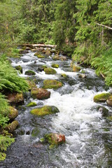 Im Fluss