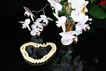 Parfüm, Perlenkette und Orchideen