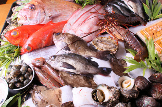 魚貝類盛合せ