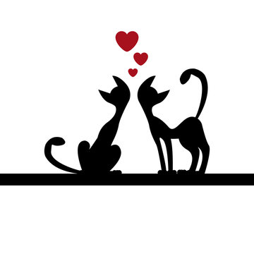 Photo about Silhouette of two black cats in love. Illustration of