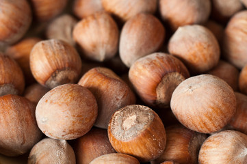 noisettes