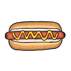 Hot dog