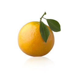 Orange fruit full of ingredients isolated