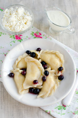 Dumplings with cottage cheese