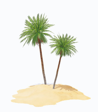 two palms on island
