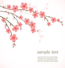 Cherry blossom card