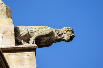 Obraz premium Gargoyle sculture on medieval cathedral. Mirepoix.