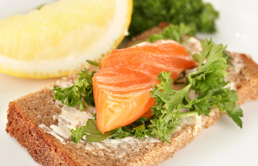 Salmon sandwich on plate, close up