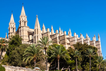 Cathedral of Palma de Mallorca © gert hochmuth