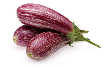 Aubergine, eggplant on white background