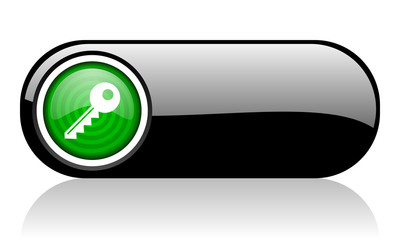 Fototapeta premium key black and green web icon on white background