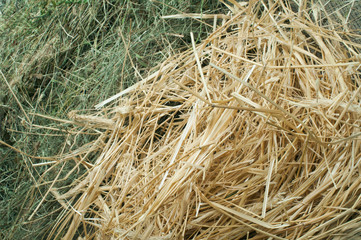 Straw and hay close up background
