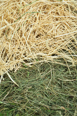 Straw and hay close up background