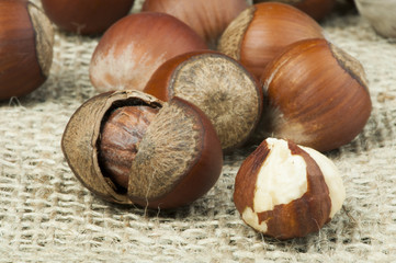Obraz premium Closeup raw hazelnuts on burlap