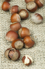 Closeup raw hazelnuts on burlap