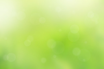 Beautiful green spring background - 48899206