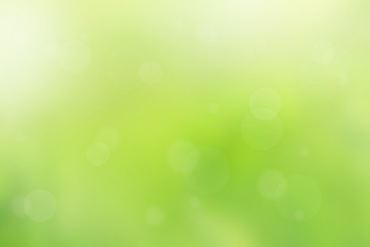 Beautiful green spring background