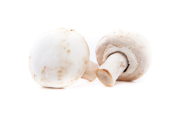 white mushrooms