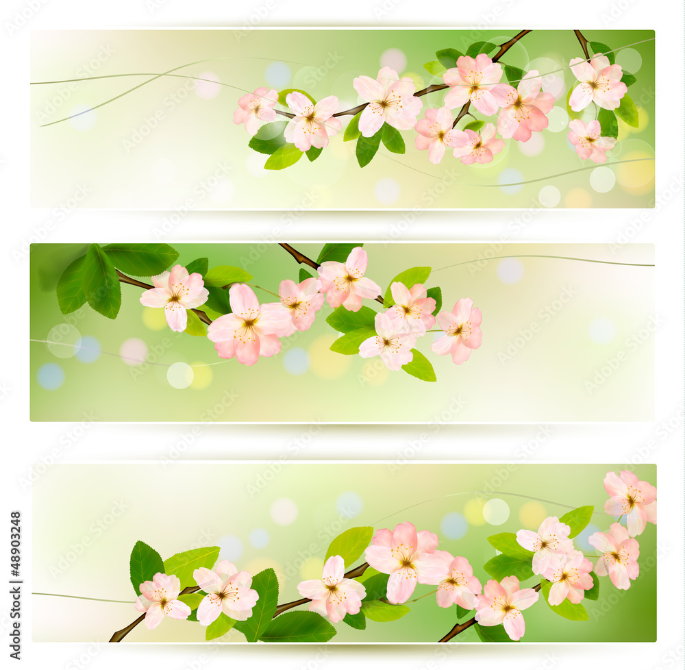 Poster three spring banners with blossoming tree brunch with spring flo