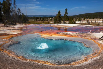 Yellowstone