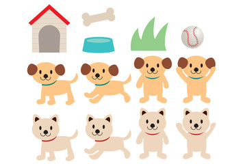 Fototapeta premium 子犬