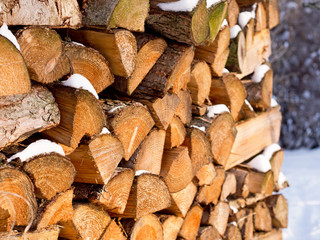 Kaminholz für den Winter