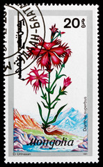 Postage stamp Mongolia 1991 Large Pink, Wildflower