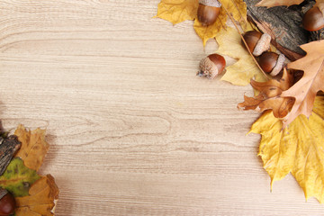 brown acorns on autumn leaves, on wooden background © Africa Studio