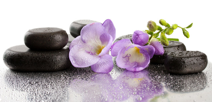 Fototapeta Spa stones and purple flower, isolated on white