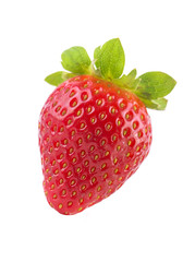 One Fresh Strawberry