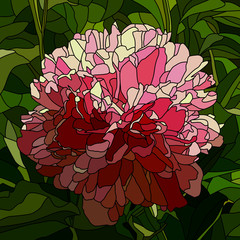 Naklejki  Vector illustration of flower peony.