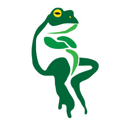 Vector image of an frog on a white background