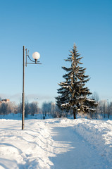 Winter landscape with a lantern and spruce