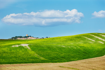 Fototapeta na wymiar Widok typowy krajobraz Toskanii
