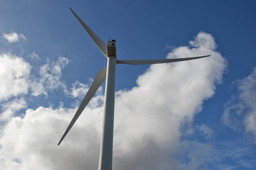 Pale Eoliche, Energia Verde a Lanzarote © strenghtofframe