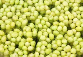 Fresh Indian Gooseberries arranged in packets