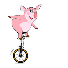 Pig on one wheel. Bicycle With One Wheel © vmaster2011