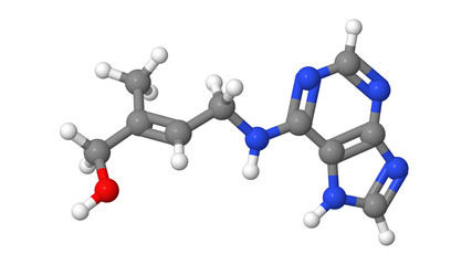 Plant hormone - Cytokinins - Zeatin - molecular model - obrazy, fototapety, plakaty