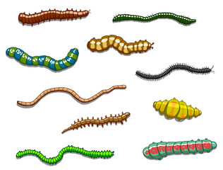 Worms, slugs and caterpillars