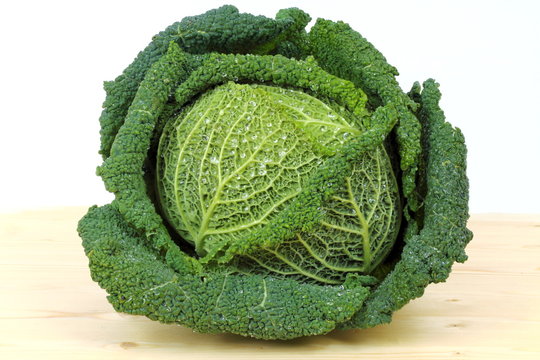 Cavolo verza isolato