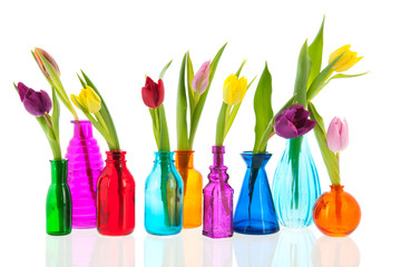 Colorful tulips in glass vases
