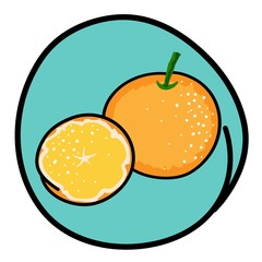 Two Fresh Oranges on Round Green Background