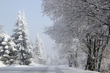Straße im Winter
