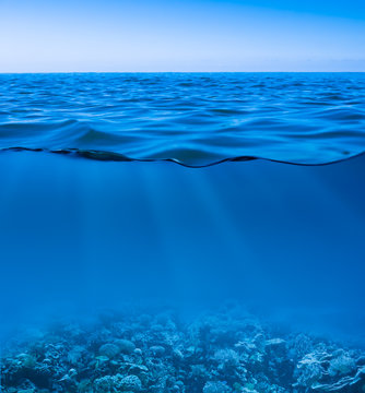 Fototapeta wciąż spokojna woda morska z czystym niebem i podwodnym światem