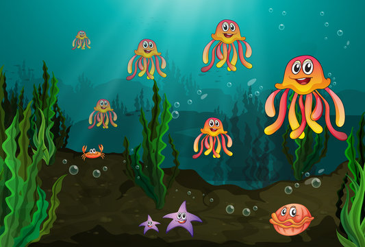 Underwater creatures