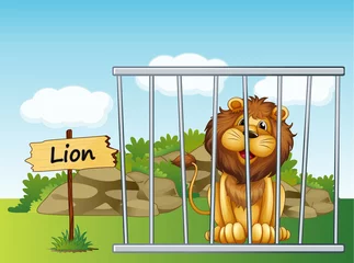 Papier Peint photo Lavable Zoo Un lion dans une clôture