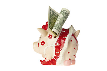Amusing piggy bank with one-dollar banknote. Rear view