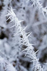 Winterzauber